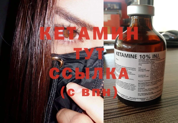 прущие грибы Коряжма