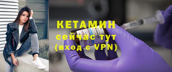 прущие грибы Коряжма