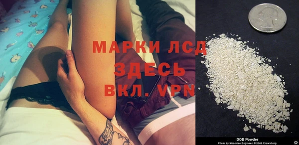 прущие грибы Коряжма