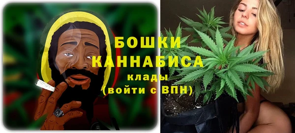 прущие грибы Коряжма