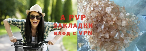 прущие грибы Коряжма