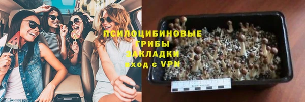 мяу мяу мука Корсаков