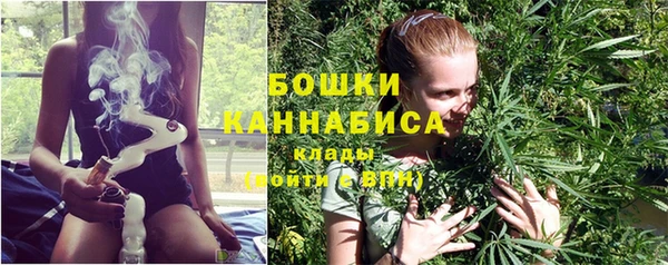 ECSTASY Костерёво