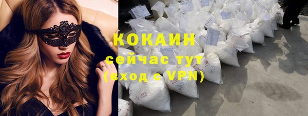 прущие грибы Коряжма