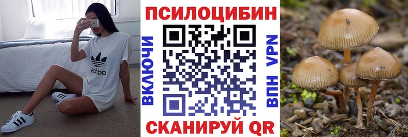 мориарти официальный сайт  Суворов  Галлюциногенные грибы GOLDEN TEACHER  закладки 